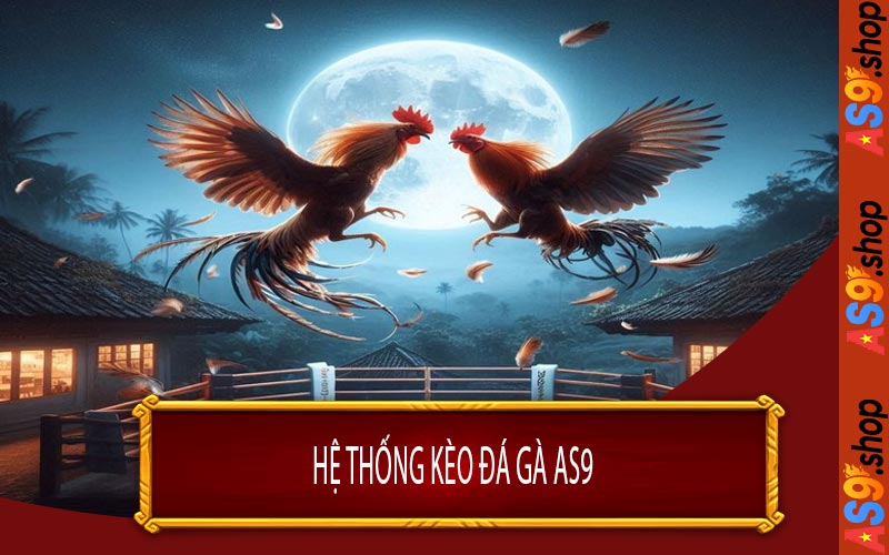 Hệ Thống Kèo Đá Gà AS9