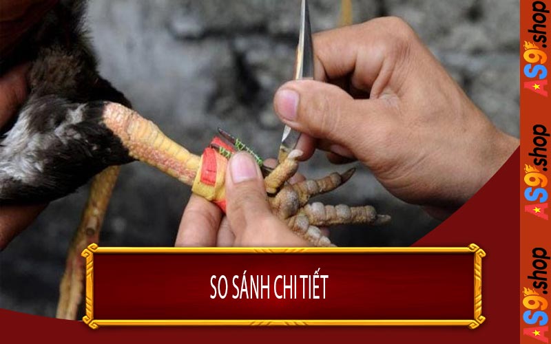 So Sánh Chi Tiết