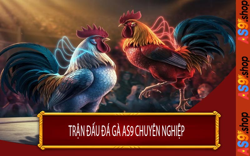 Trận Đấu Đá Gà AS9 Chuyên Nghiệp